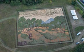 Holy Crop! A van Gogh Painting Recreated in a Field