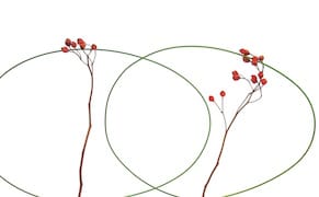 The Melancholy Art of Japanese Floral Arrangements