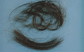 Framed Artifacts of Our Bodies