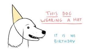 11 Things that Are Surprisingly NOT Running for President