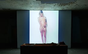 From Peeling Skin to Talking Dolls, Highlights from the Detroit Design Festival