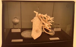 In Budapest’s Galleries, Female Artists Make Their Mark