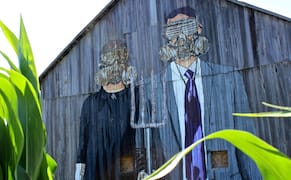 Decaying Barns Transformed into Art