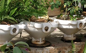 Arkansas Tells Artist to Stop Putting Toilets in Her Yard