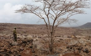 A Digital Fossil Finder for a New Crowdsourced Age of Archaeology