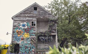 An Abandoned House in Detroit Blooms with Aromatic Plants
