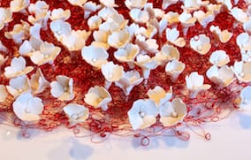 Two Ceramicists Craft Domestic Intricacies