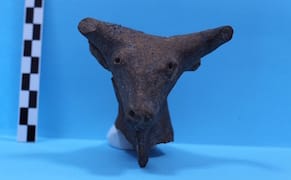 A Terra-cotta Antiquity that Arrived at a Turkish Museum by Mail