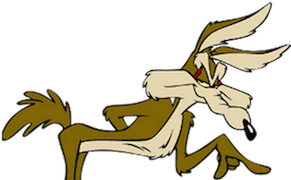 Yogi, a Coyote, a Butcher, and a Vowel: A Personal Bird’s-Eye View of Umbria's Not-Famous Church of Madonna dei Bagni