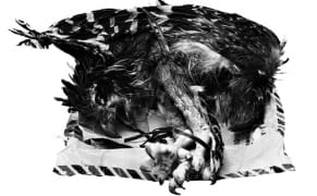 A Photographic Index of Illicit Objects Seized at the US Border