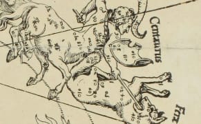Celestial Art and Science in Albrecht Dürer's 1515 Star Charts