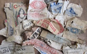 Discovery in a Cathedral Attic Suggests Birds Are the Best Archivists