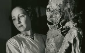 Robert Doisneau's Photographs of the Paris Natural History Museum During the Nazi Occupation