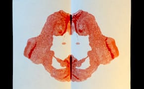 Reading Menstrual Rags Like Rorschach Tests