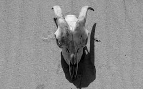 Surround Sound: The Sonic Environments of Jacob Kirkegaard's ‘Earside Out’