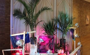 Pausing to Consider How Plants React to Humans