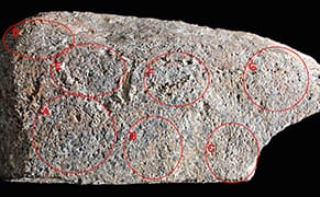 13,800-Year-Old Engraving May Be First Depiction of a Man-Made Landscape