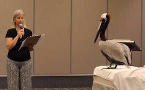 Interactive Art About Climate Change in a City Where It Will Wreak Havoc