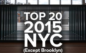 Best of 2015: Our Top 20 NYC Art Shows