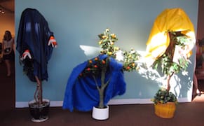 At Pulse Miami Beach, Plants, Plants Everywhere