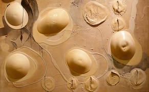 Takesada Matsutani’s Art of Expressive Textures and Ambiguous Blobs