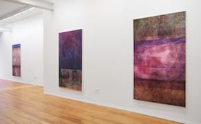 Infected Paintings as an Allegory of Migration