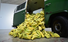 Spilled Bananas, Split Blades, and Books with Bullets: Eclectic Offerings at Mana Miami