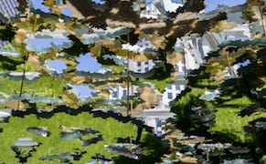 Seeing the World from Nature's Many Perspectives