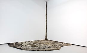 Aestheticizing the Reality of a Polluted River