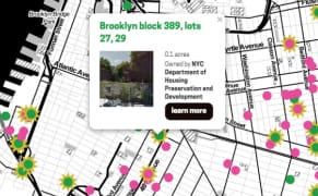 Reclaiming Vacant Public Land through Design