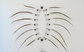 In San Francisco, Closing the Gap Between Art and Tech