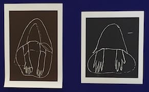 From Challenging Kant to Elevating Moss, an Artist Upends Hierarchies