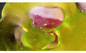 Marilyn Minter's Dirty Visions of Foods, Faces, and Feet