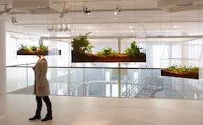 Ecological Art that Miniaturizes (and Minimizes) Climate Change