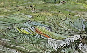 Chrysler Museum of Art Features Photographer Ed Burtynsky in Exhibition Focused on Global Water Issues