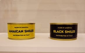 The Historical and Fictional Worlds of Nari Ward