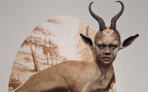 Dreamscapes for the 21st Century at the Volta Art Fair