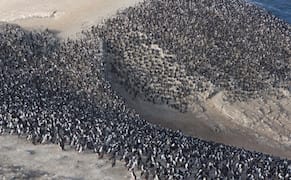 Visually Mining the History of Guano Off the Coast of Peru