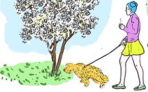 Homage to Springtime