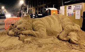 Sand Sculptor Transforms Construction Site into Anti-Gentrification Cat Art