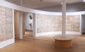 Drawing the Invisible Shapes of Energy