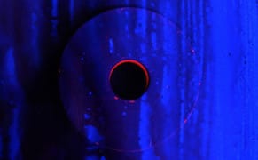 Reader’s Diary: Bernadette Mayer’s 'Sonnets'