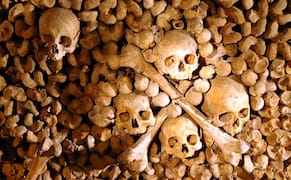 Connecting with Humanity in the Paris Catacombs
