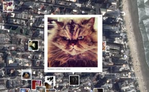 Visualizing the Purrrsonal Data You Share with Your Cat Photos