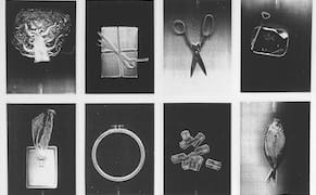 The Personal and Poetic Prints of a Female Pioneer of Copier Art