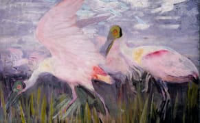 An Artist and Amateur Scientist Who Painted Animal Camouflage and Angels