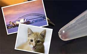 Scientists Can Now Store Digital Images in DNA