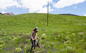 An Ecologically Minded Artist Navigating the Nature-Culture Continuum