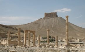Excavating the Forgotten History of Palmyra