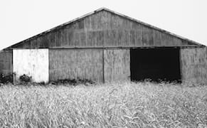 The Natural Geometries of Ellsworth Kelly’s Photographs